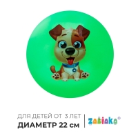 Мяч детский ZABIAKA «Пёсик», d=22 см, цвет МИКС Мяч детский ZABIAKA «Пёсик», d=22 см, цвет МИКС