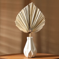 Сухие цветы &laquo;Лист пальмовый&raquo;, 50 &times; 25 &times; 2 см