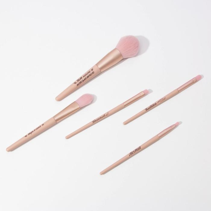 Набор кистей для макияжа «Самой стильной», 5 шт Набор кистей для макияжа «Самой стильной», 5 шт