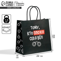 Пакет подарочный крафтовый, упаковка, &laquo;Плохо&raquo;, 22 х 22 х 11 см
