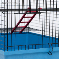 Клетка для грызунов "Сеня 2", 50 x 37 x 37 см, микс цветов Клетка для грызунов "Сеня 2", 50 x 37 x 37 см, микс цветов