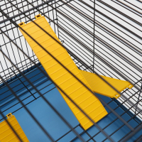 Клетка для грызунов "Сеня 3-1", 49 x 36 x 51 см, микс цветов Клетка для грызунов "Сеня 3-1", 49 x 36 x 51 см, микс цветов