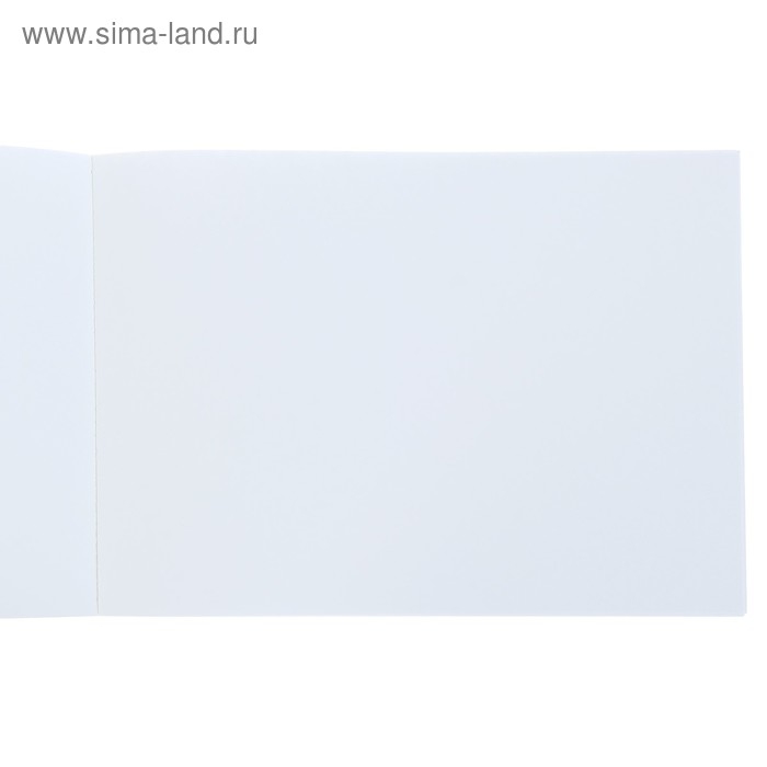 Альбом для рисования А4, 40 листов на клею "Профессиональная серия", обложка картон, блок 150 г/м2, МИКС