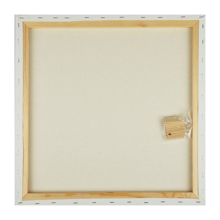 Холст на подрамнике, хлопок 100%, 50 х 50 х 1.8 см, акриловый грунт, мелкозернистый, 280 г/м2, «Студия» Холст на подрамнике, хлопок 100%, 50 х 50 х 1.8 см, акриловый грунт, мелкозернистый, 280 г/м2, «Студия»