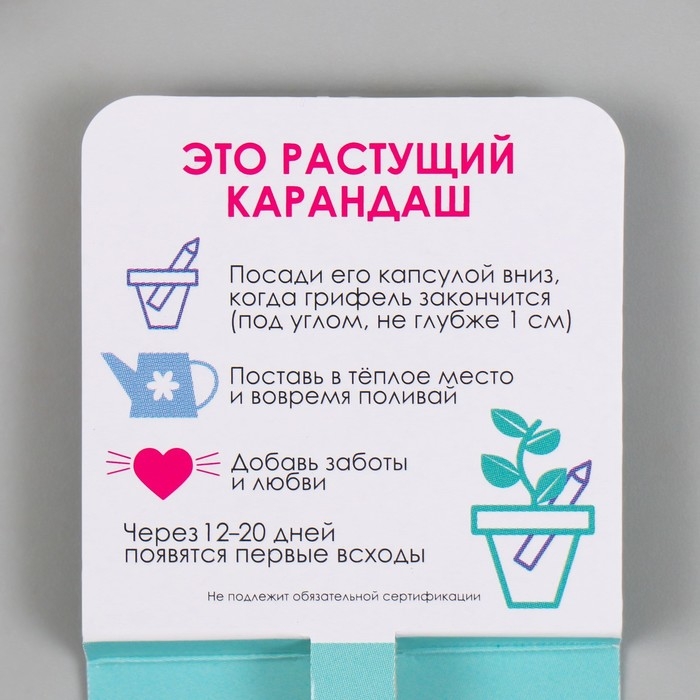 Растущие подарочные карандаши mini "Мята"