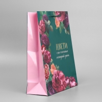 Пакет подарочный ламинированный, упаковка, &laquo;Каждый день&raquo;, M 24 х 29 х 9 см