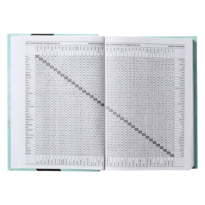 Ежедневник недатированный на сшивке А5 160 листов, картон 7БЦ, матовая ламинация, фольга "Гармония"