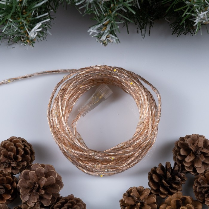 Гирлянда «Нить» 10 м роса, IP44, медная нить, 100 LED, свечение тёплое белое, мерцание, 220 В Гирлянда «Нить» 10 м роса, IP44, медная нить, 100 LED, свечение тёплое белое, мерцание, 220 В