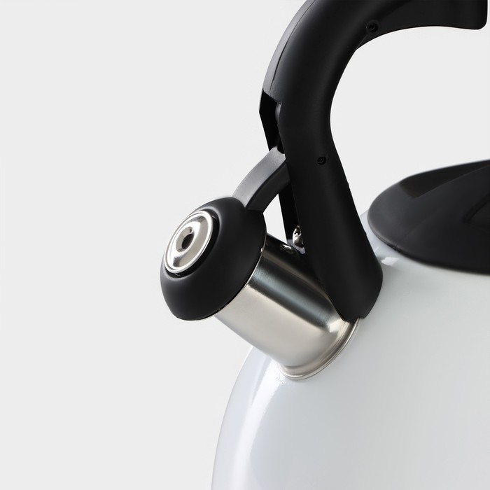 Чайник со свистком из нержавеющей стали Доляна &laquo;Колибри&raquo;, 3 л, с индикатором нагрева