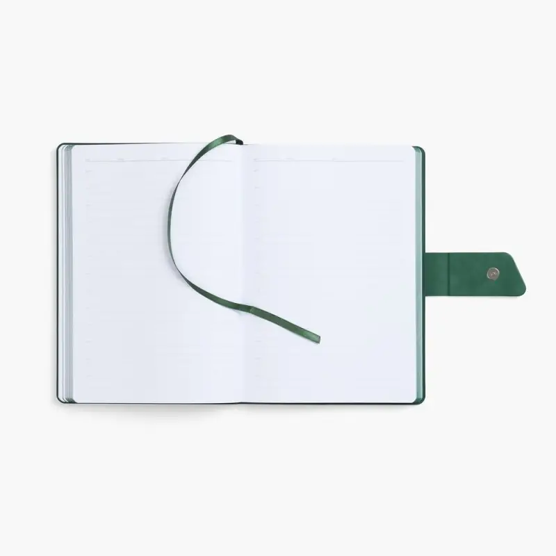 Ежедневник Boom, недатированный, черный с зеленым