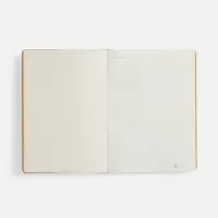 Ежедневник Urban Hard, недатированный, оранжевый