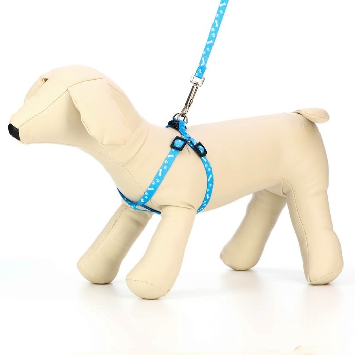 Комплект "Классика", капрон, поводок 120 х 1 см, ОГ 21-35 см, голубой