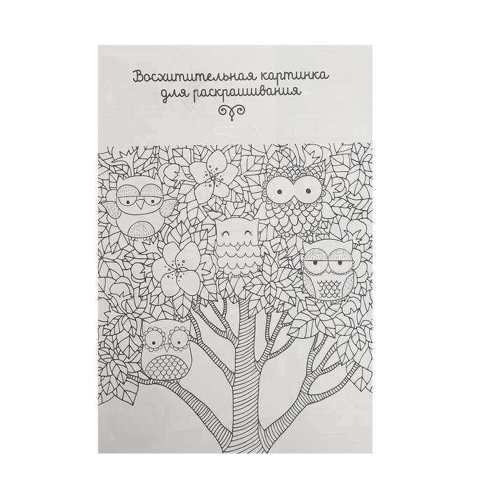 Набор для творчества. Фреска песком &laquo;Магическая сова&raquo;