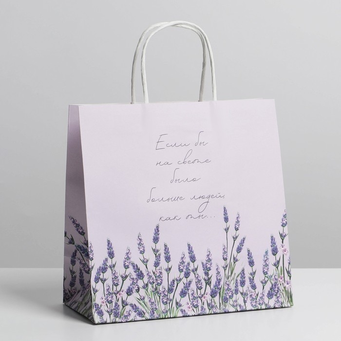 Пакет подарочный, упаковка, «Если бы», 22 х 22 х 11 см Пакет подарочный, упаковка, «Если бы», 22 х 22 х 11 см