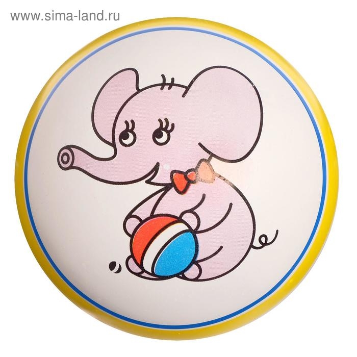 Мяч резиновый, диаметр 100 мм, (рисунок), цвета МИКС Мяч резиновый, диаметр 100 мм, (рисунок), цвета МИКС