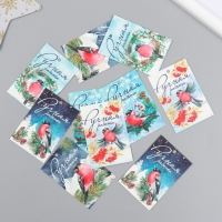 Бирка картон "НГ Снегирь" набор 10 шт (5 видов) 4х6 см Бирка картон "НГ Снегирь" набор 10 шт (5 видов) 4х6 см