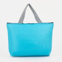 Термосумка на молнии 3,8 л, цвет голубой Термосумка на молнии 3,8 л, цвет голубой