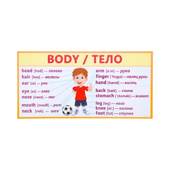 Набор карточек-закладок Набор карточек-закладок "Для начальной школы" 3-4 класс, 10 карточек, 20x10 см