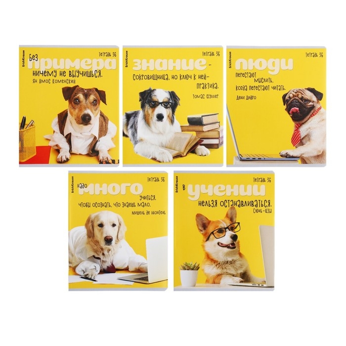 Тетрадь 36 листов в клетку, ErichKrause Тетрадь 36 листов в клетку, ErichKrause "Ученые собаки", обложка мелованный картон, блок офсет 100% белизна, МИКС