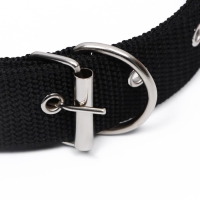 Ошейник клепаный, 48,5 х 3 см, ОШ 31-40 см, полиэстер, чёрный Ошейник клепаный, 48,5 х 3 см, ОШ 31-40 см, полиэстер, чёрный