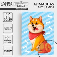 Алмазная мозаика с частичным заполнением для детей «Пушистая собачка», 20 х 25 см Алмазная мозаика с частичным заполнением для детей «Пушистая собачка», 20 х 25 см