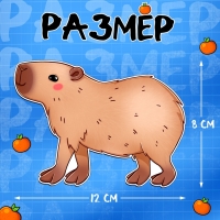 Магнитный набор &laquo;Капи-мода&raquo;