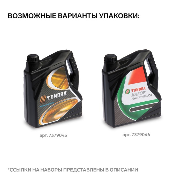 Набор инструментов ТУНДРА, подарочный пластиковый кейс Набор инструментов ТУНДРА, подарочный пластиковый кейс "Канистра", 21 предмет