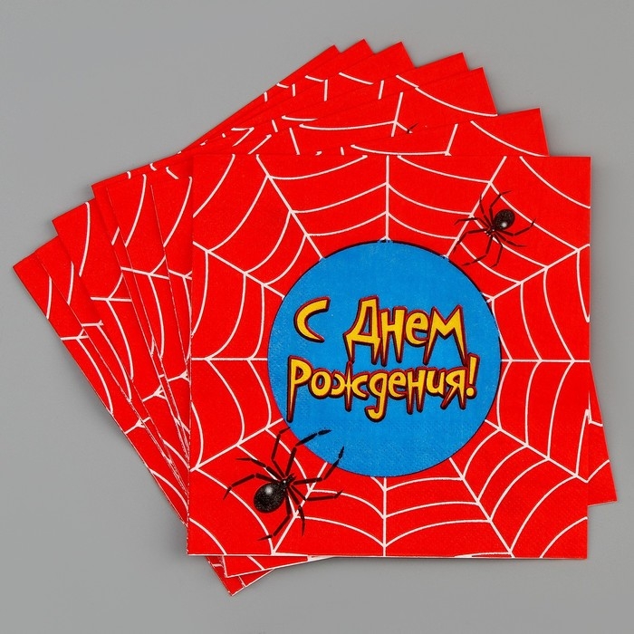 Набор для праздника &laquo;С днём рождения. Паутина&raquo;