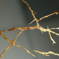 Поднос пластиковый прямоугольный с зеркалом &laquo;Узоры&raquo;, 37 х 37 х 4,5 см сервировочный