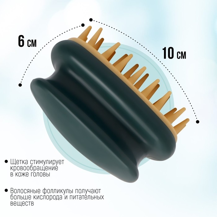 Щётка - массажёр для мытья головы, 10 × 6 × 6,2 см, в блистере, цвет МИКС Щётка - массажёр для мытья головы, 10 × 6 × 6,2 см, в блистере, цвет МИКС