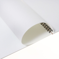 Альбом для акварели А4, 20 листов, блок 180 г/м², на спирали, Erich Krause "Birds", экстра белая, твердая подложка, перфорация для отрыва Альбом для акварели А4, 20 листов, блок 180 г/м², на спирали, Erich Krause "Birds", экстра белая, твердая подложка, перфорация для отрыва