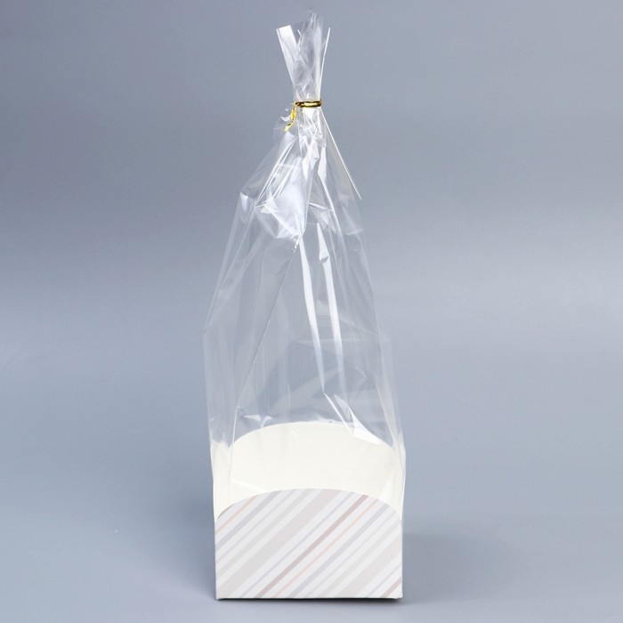 Пакет подарочный с коробкой, упаковка, &laquo;С наилучшими пожеланиями&raquo;, 12 х 12 х 40 см