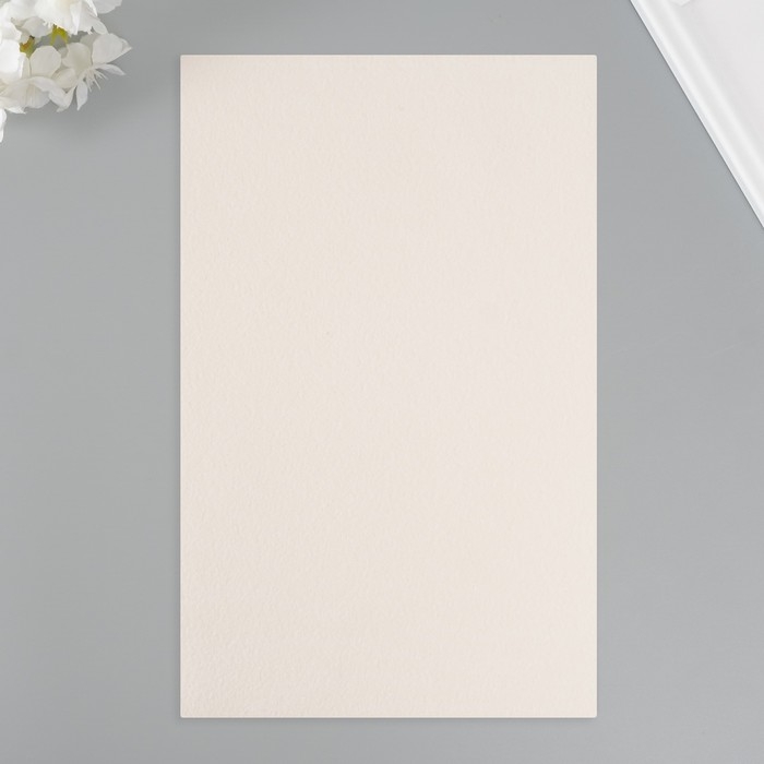 Лист для творчества иск.кожа "Личи. Перламутр" белый лист 33х20 см толщина 0,9 мм