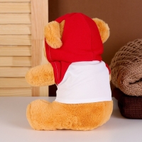 Мягкая игрушка &laquo;Мишка&raquo; в кофте, 23 см, цвет МИКС