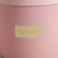 Набор шляпных коробок для цветов 4 в 1, упаковка подарочная, &laquo;Нежные тона&raquo;, 14 х 13 см - 20 х 17,5 см