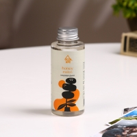 Наполнитель для ароматического диффузора Медовая дыня 100 мл (А)