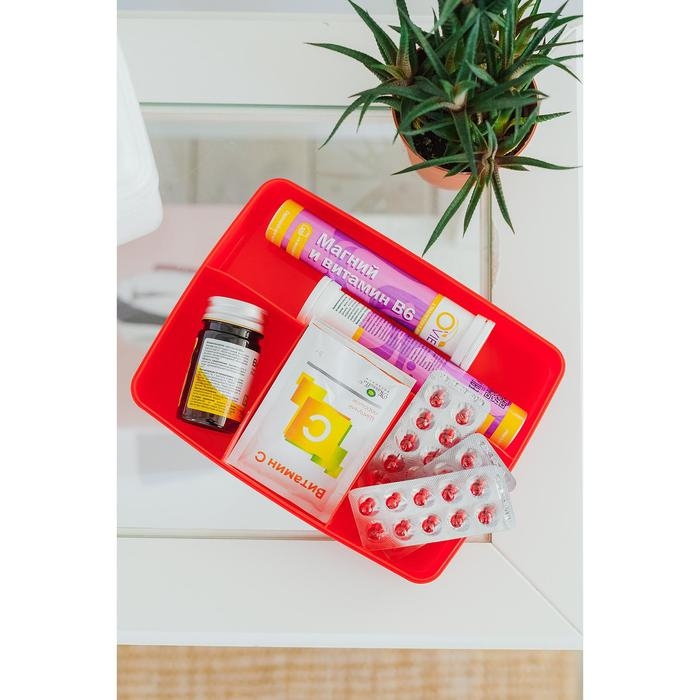 Аптечка, 22&times;18&times;16 см, цвет красный