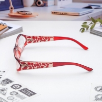 Готовые очки Восток 6618, цвет бордовый, +2,5 Готовые очки Восток 6618, цвет бордовый, +2,5