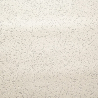 Обои виниловые на флизелиновой основе под покраску "Гомельобои" Штукатурка, 1,06х25м