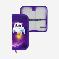 Пенал школьный 1 секция 90 х 190 лам.карт ПО-03 &laquo;1 сентября: Совушка&raquo;