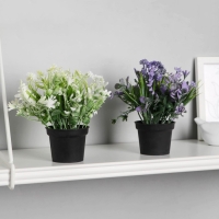 Бонсай в горшке "Скабиоза" 7х14 см, микс Бонсай в горшке "Скабиоза" 7х14 см, микс