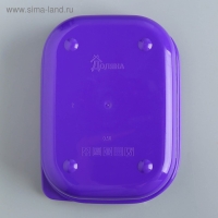 Ланч-бокс &laquo;Ленивцы&raquo;, 500 мл