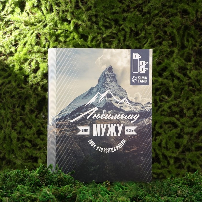 Набор посуды для пикника &laquo;Любимому мужу&raquo;, термос 500 мл, кружка 2 шт