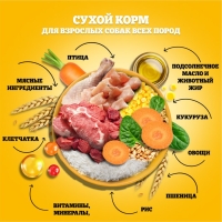 Сухой корм Pedigree для взрослых собак всех пород, говядина, 2,2 кг. Сухой корм Pedigree для взрослых собак всех пород, говядина, 2,2 кг.