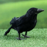 Фигура "Ворон" 20х6х10см Фигура "Ворон" 20х6х10см