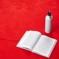 Дорожный плед Voyager 2, красный Дорожный плед Voyager 2, красный