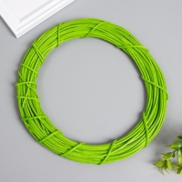 Кольцо ротанг для изготовления ловца снов "Зелёный" d=20 см Кольцо ротанг для изготовления ловца снов "Зелёный" d=20 см