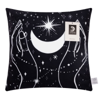 Наволочка декоративная Этель &laquo;Луна&raquo; 40х40 см, 100% п/э, велюр