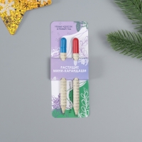 Растущие подарочные карандаши mini "Голубая Ель + Гвоздика" набор 2 шт. Растущие подарочные карандаши mini "Голубая Ель + Гвоздика" набор 2 шт.