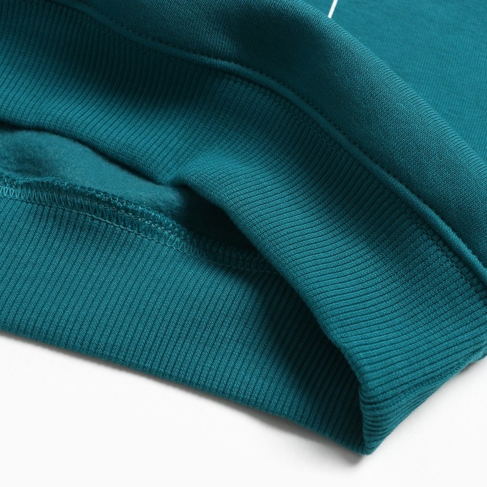 Свитшот для мальчика, цвет изумруд, рост 140 см Свитшот для мальчика, цвет изумруд, рост 140 см